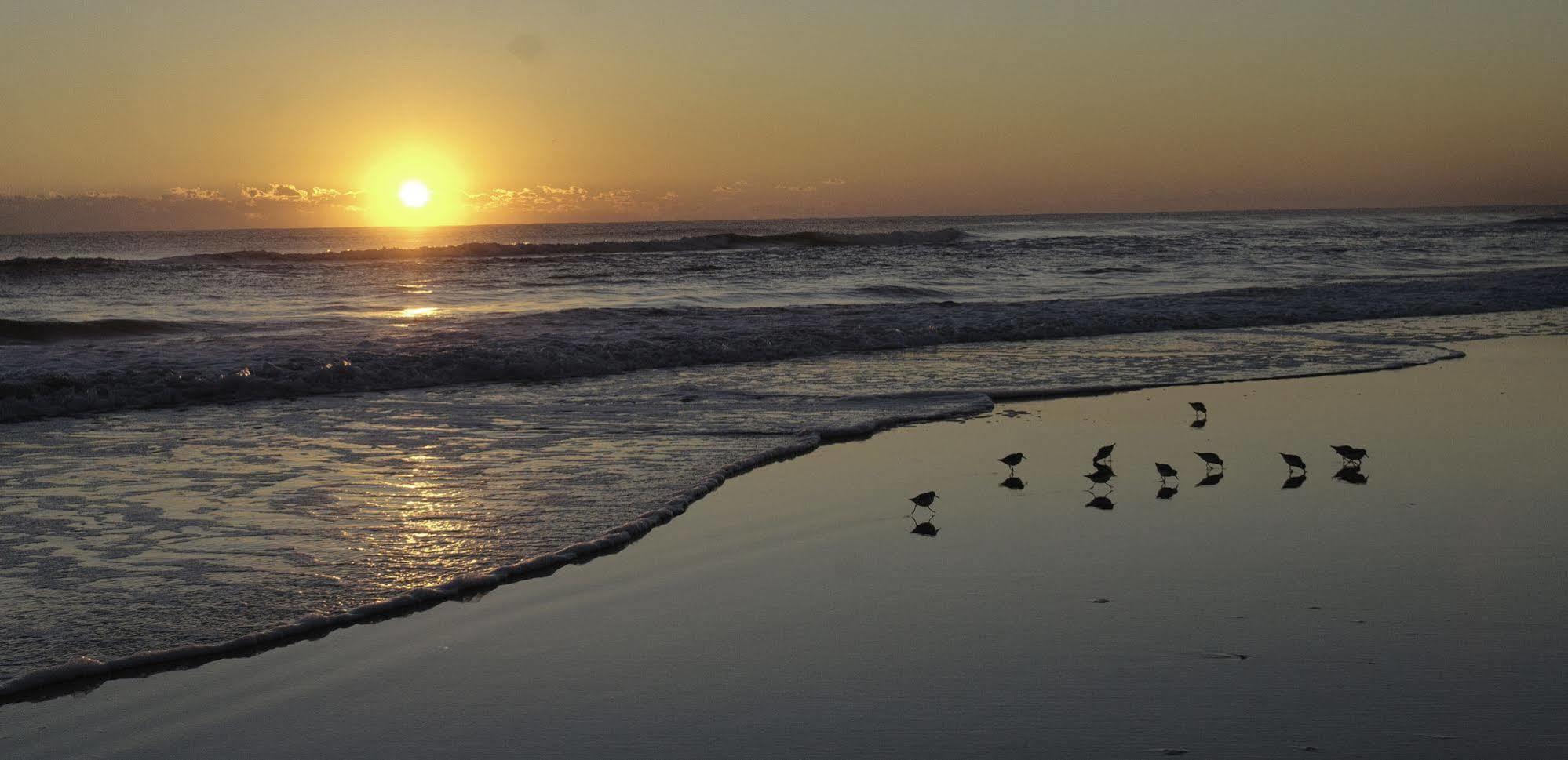 موتيل Daytona Beach Shores Club Sea Oats By Capital Vacations المظهر الخارجي الصورة